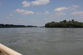 Boat Excursion