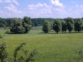 Floodplain