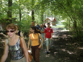 Walking in the forest